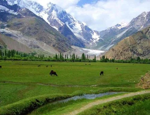 Historical sites in Yasin Valley